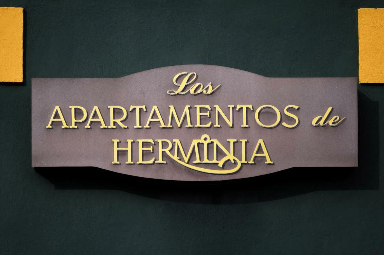Apartamentos De Herminia Manzaneda  Luaran gambar