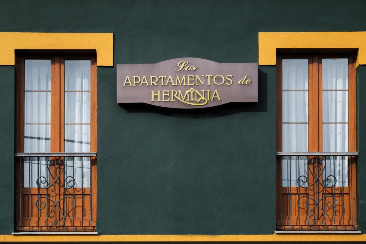 Apartamentos De Herminia Manzaneda  Luaran gambar